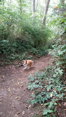 Loganberry Lane Park photo 1